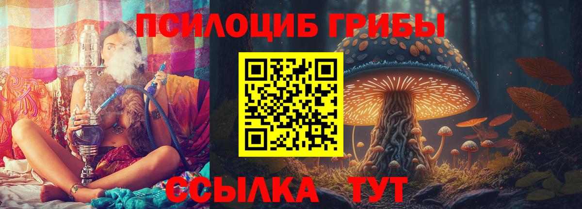 Галлюциногенные грибы Psilocybine cubensis  Вход с VPN  Рубцовск 