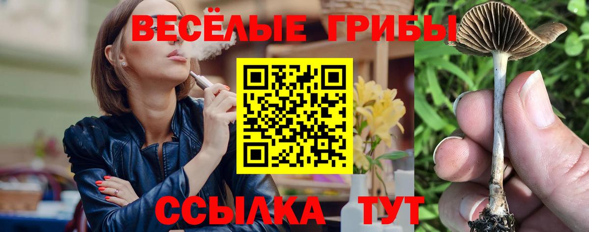 Псилоцибиновые грибы прущие грибы Рубцовск